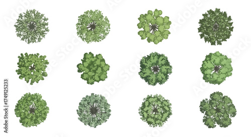 Collection of varied tree top view illustrations for landscape design and architectural plans, white background