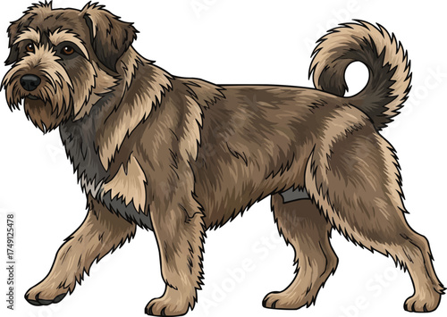 Dutch Smoushond dog walking trotting side view vector illustration
