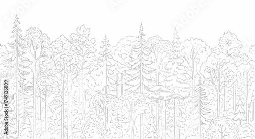 Minimalist forest line art featuring a dense collection of various trees in a muted gray tone, white background