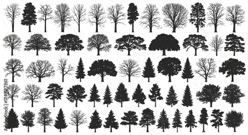 Extensive collection of various tree silhouette vectors, perfect for architectural visualization and landscape design, white background