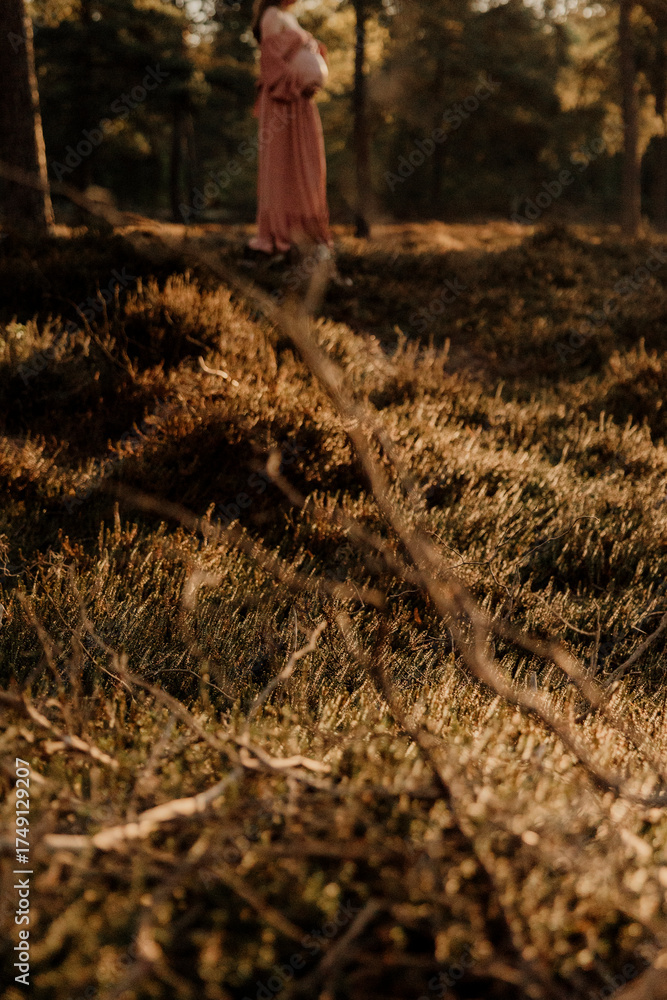 Fototapeta premium Pregnant woman in pink dress standing in forest meadow at sunset.