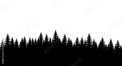 A monochrome vector illustration of a dense tree line against a white background, white background