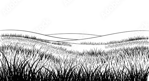 Black and white vector illustration of grassy landscape, white background