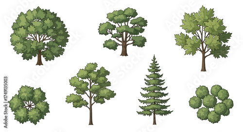Top view vector illustration of various trees, perfect for landscape design and architectural plans, white background