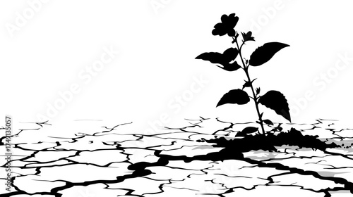 Resilient plant sprouting from cracked dry earth, symbolizing survival, hope, and new life in harsh environmental conditions.