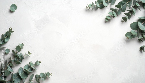 Elegant Eucalyptus Branches on White Textured Background with Ample Copy Space for Design