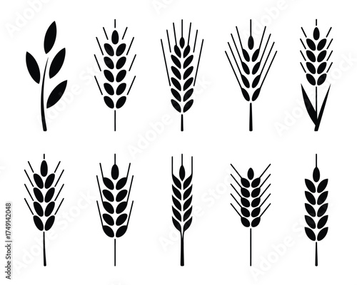 Set of ten scalable vector wheat stalk illustrations eps icons for graphic design silhouette