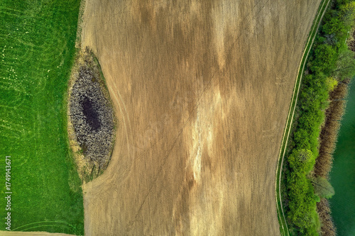 Fototapeta Naklejka Na Ścianę i Meble -  Top-down aerial shot of small grassy island within harvested field, Mazury summer farmland, vertical orientation, sunny natural light, commercial stock