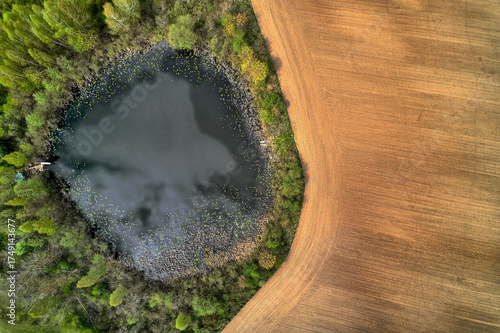 Fototapeta Naklejka Na Ścianę i Meble -  Aerial view of small forested lake with reflection and adjacent golden field in Mazury, Poland, summer, vertical top-down shot, natural lighting, commercial stock orientation
