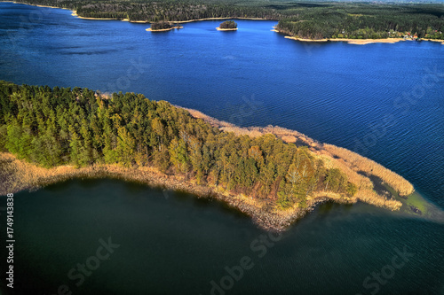 Fototapeta Naklejka Na Ścianę i Meble -  Aerial panorama of reed-lined shoreline and forest meeting a Masurian lake in summer