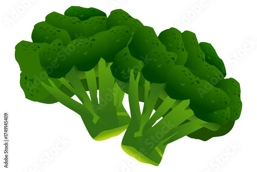 Green broccoli food vector representing healthy vegetable rich in fiber and vitamins.