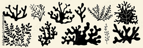 Black seaweed silhouettes set isolated on white background. Flat vector illustration of coral icons, abstract organic plants, underwater floral shadows for modern marine design patterns, sea nature