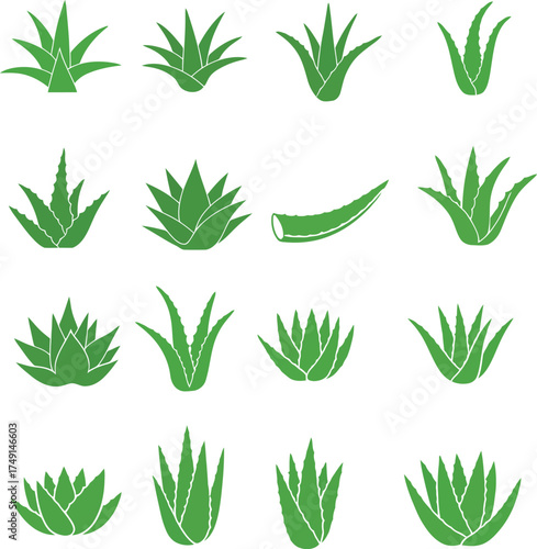 Aloe Plant Vector Icons – Minimalist Botanical Aloe Illustrations