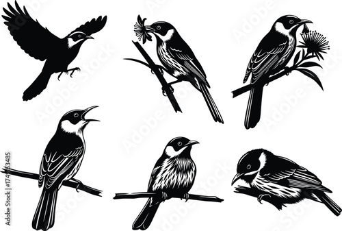 Black and white bird illustration, hand drawn avian sketches, perched and flying birds with flowers, vintage nature vector, wildlife ink drawing