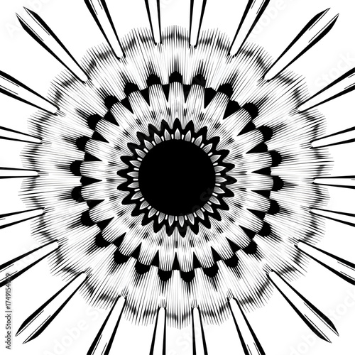 Abstract Floral Pattern: A captivating display of symmetry and detail, featuring an abstract floral pattern in black and white, creates a visual exploration of form and contrast. 
