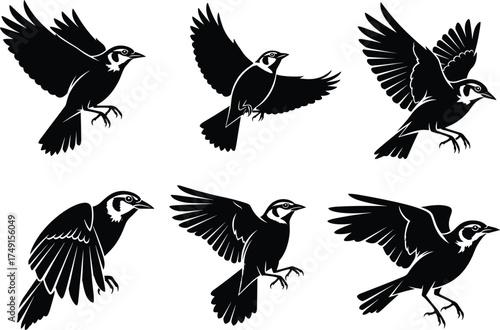 Stylized flying birds vector illustration, dynamic avian silhouettes in motion, black and white bird artwork, abstract wildlife design, editable stock graphic