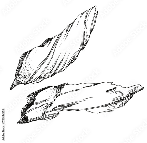 Jerky meat pieces sketched vector
