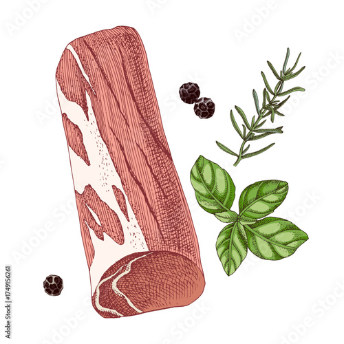 Raw pork tenderloin sketched vector