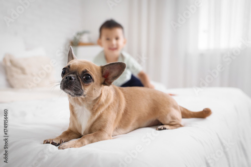 Cute little Asian boy with ...