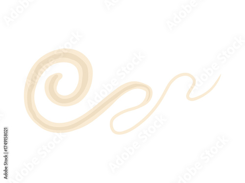Trichuris Trichiura Illustration
