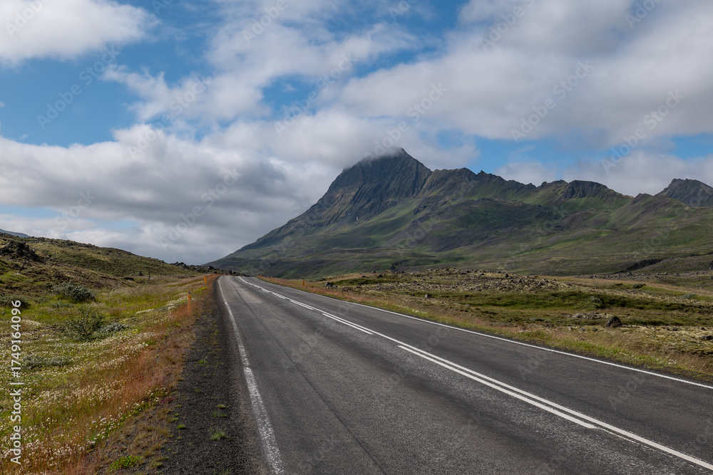 Fototapeta premium motorway in landscapes of Iceland