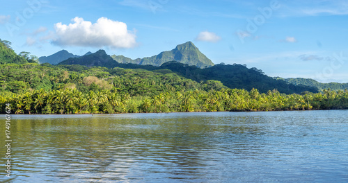 Tableau sur toile Navigating deep inland along the Faaroa River on Raiatea island, the only navigable river in French Polynesia, South Pacific Ocean