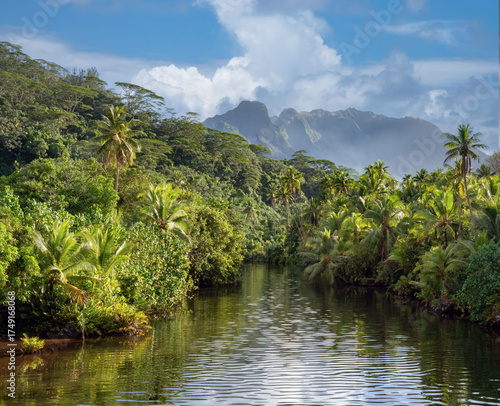 Lush tropical rainforests accessible by boat on the Faaroa River waters, Raiatea island, the only navigable river in French Polynesia, South Pacific Ocean.