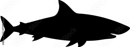 Powerful shark silhouette representing marine life, ocean danger, and aquatic power for dynamic designs