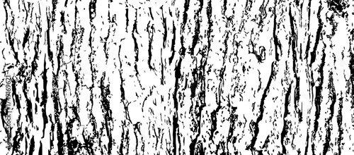Tree bark texture