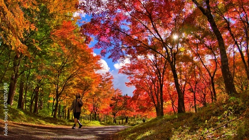 紅葉
