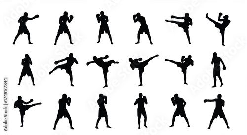 Silhouettes of Martial Artists in Various Fighting Stances and Kicks.