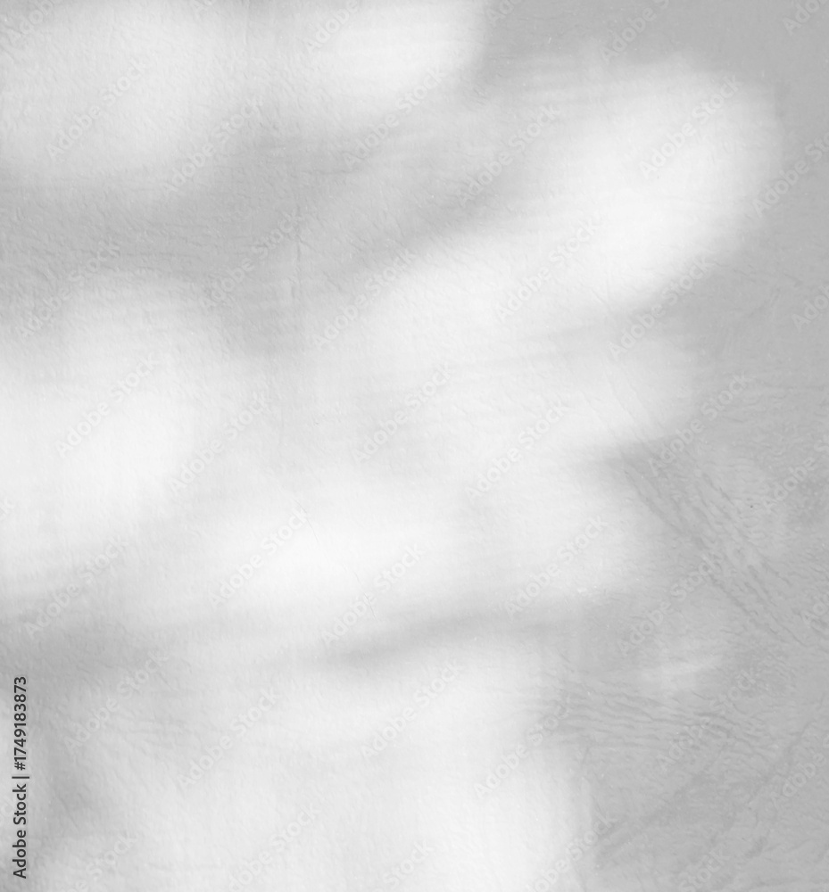 Naklejka premium Background shadow white light wall floor backdrop overlay leaf mockup summer sunight overlay nature on room cement abstract blur muckup effect grey minimal platform for presentation product
