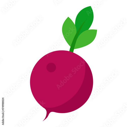 vector illustration of ripe plums