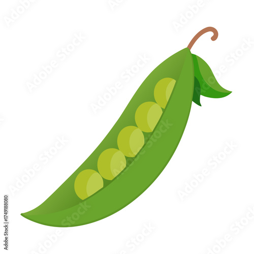 green peas vector illustration