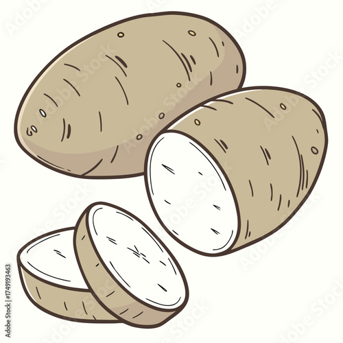 Two whole potatoes and one sliced potato vector illustration 1