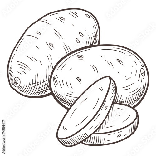 Two whole potatoes and three sliced potato pieces vegetable 1