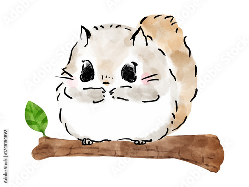 エゾモモンガ　枝でくつろぐエゾモモンガ　かわいい絵本風イラスト