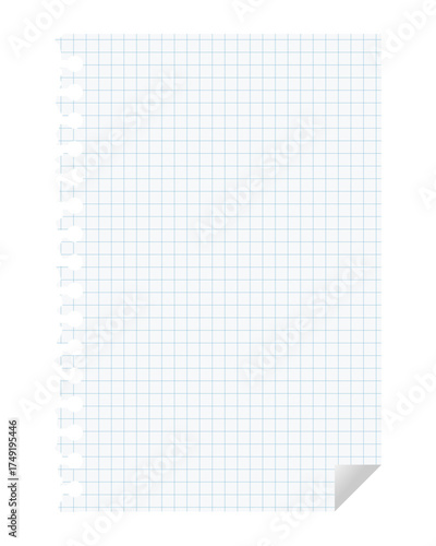 破れた方眼紙のノートの紙。青いグリッドの入ったシンプルなベクターイラスト。