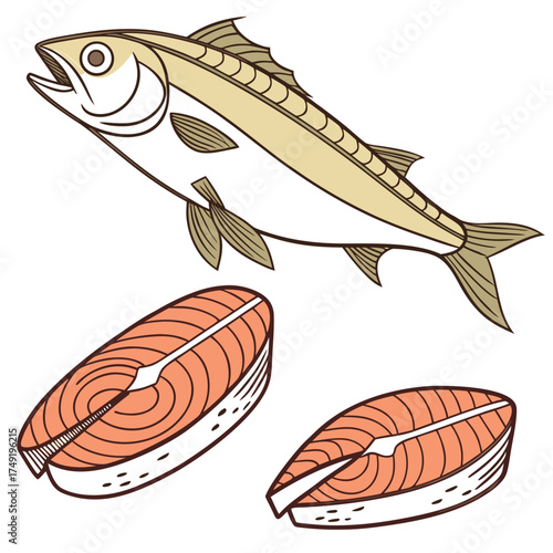 Whole fish and salmon steaks vector illustration fish fillet