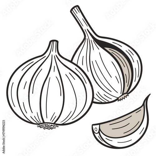 Two whole garlic bulbs and one split clove food ingredient 1