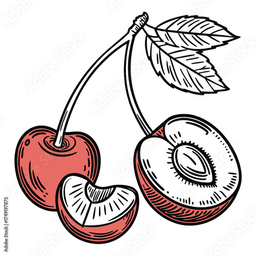 Two whole cherries and one halved cherry with leaves
