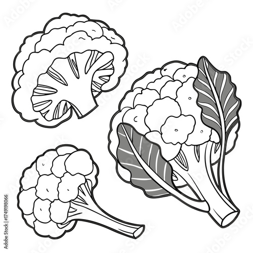 Three Cauliflower Vegetables Line Art food healthy eating