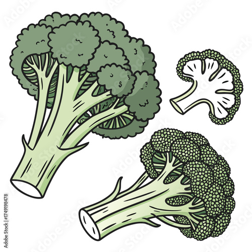 Two whole broccolis and one cut floret green vegetable