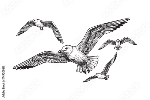 Flock of Seagulls Ocean, Coast, and Freedom in a Vintage Engraving Style