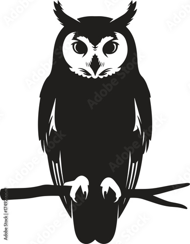 owl sitting on branch