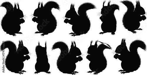 Silhouette of squirrels eating nuts, wildlife animals in various poses, black vector illustration for nature, forest, and animal design themes