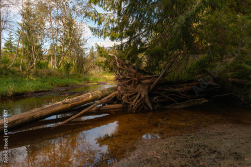 Latvia. Amata nature trail in autumn.