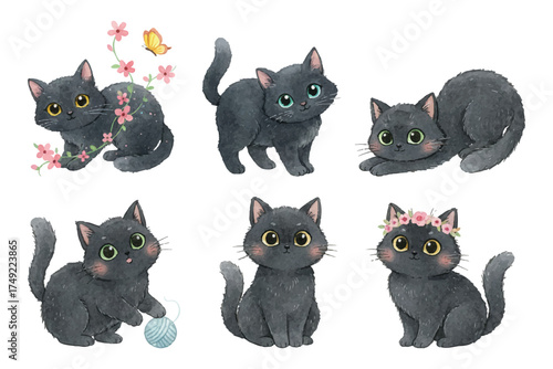 watercolor furry black cat collections