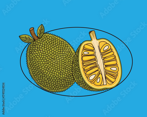 Detailed vector illustration of a tropical jackfruit, showing one whole fruit and another cut in half to reveal the inner flesh and seeds