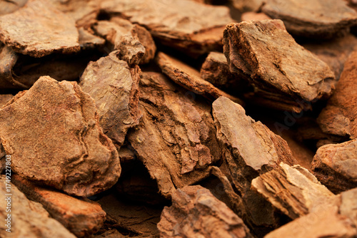 closeup kiwi orchid bark or pine bark for grow plant medium background texture